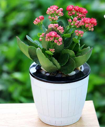 ����UG(�й�����)�ٷ���վ