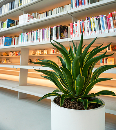 ����UG(�й�����)�ٷ���վ