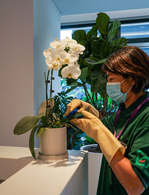 ����UG(�й�����)�ٷ���վ