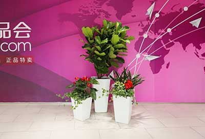 ����UG(�й�����)�ٷ���վ