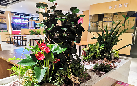 ����UG(�й�����)�ٷ���վ