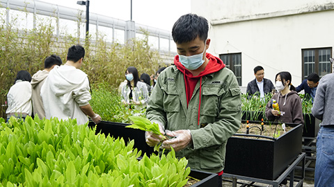 ����UG(�й�����)�ٷ���վ