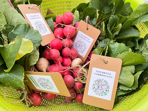 ����UG(�й�����)�ٷ���վ