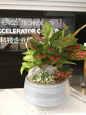 ����UG(�й�����)�ٷ���վ