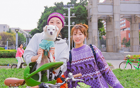 ����UG(�й�����)�ٷ���վ