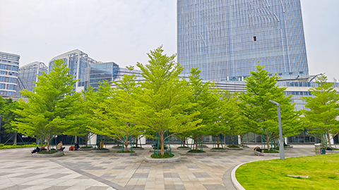 ����UG(�й�����)�ٷ���վ