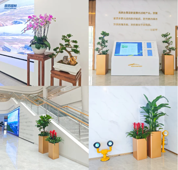 ����UG(�й�����)�ٷ���վ