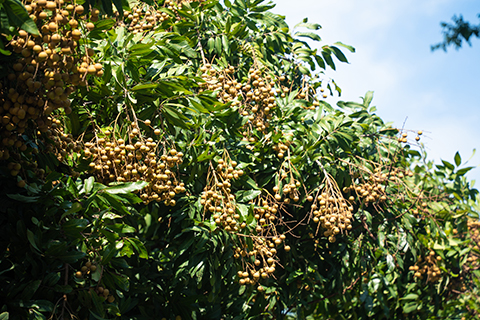 ����UG(�й�����)�ٷ���վ