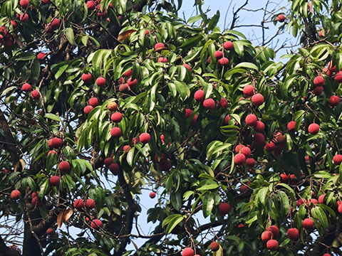 ����UG(�й�����)�ٷ���վ