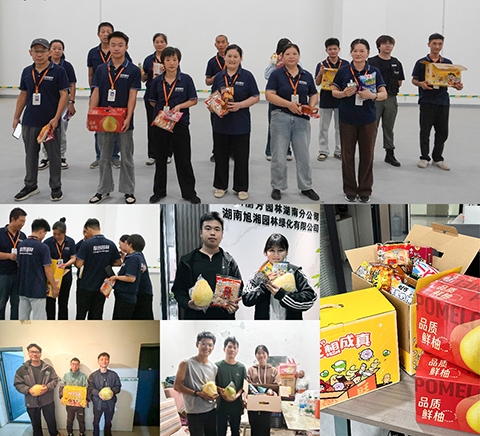 ����UG(�й�����)�ٷ���վ