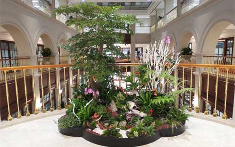 UGٻΪǰعոͨ...