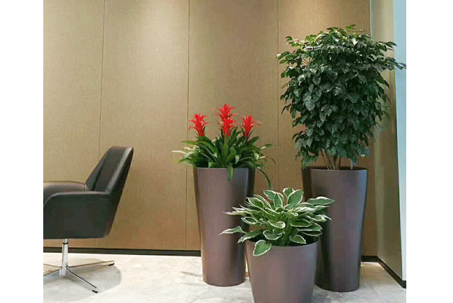 �ù�ֲ������