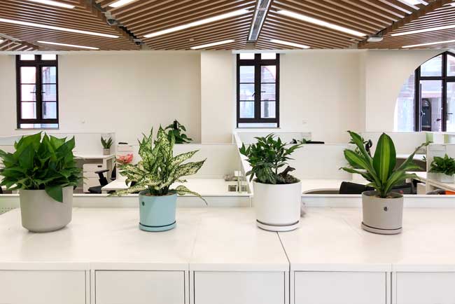 �칫��ֲ������