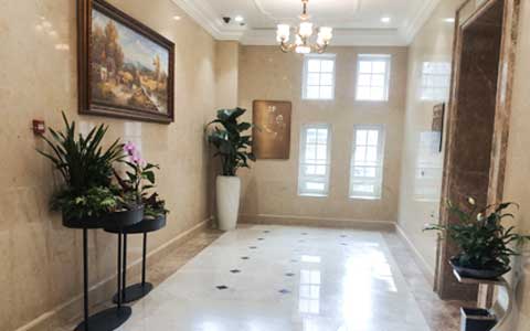 �ʺϹ�˾�������������Ȱڷ�ֲ������Щ��?