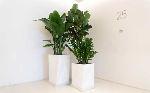 ������ֲ���������շѱ�׼��