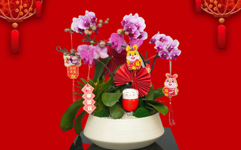 껨俪 | UG´ۺ껨Ԥ