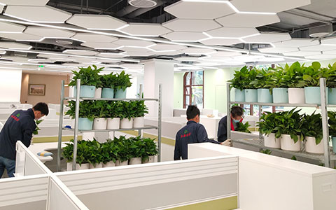 �칫�һ�������������˾��ô����