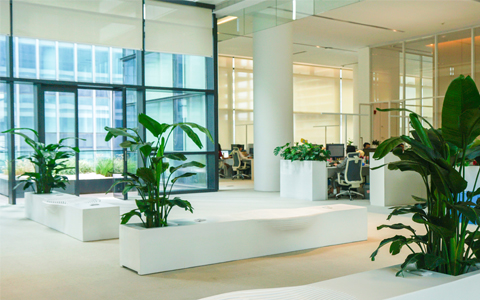 ����UG�칫����ֲ�ڷſ�������ˮ,������Ҫ֪��!