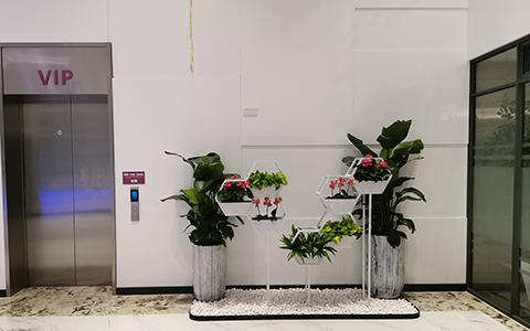 �a�_��ֲ��ڷ���������