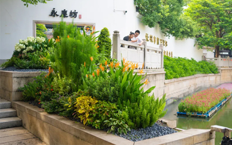 ������ư�������������UG���Ĵ������췻��Ī�λ�԰������ʢ��