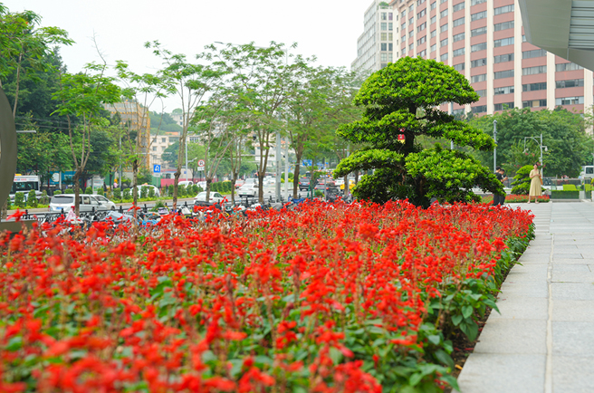 ����Խ����ʾۻ������̻�����