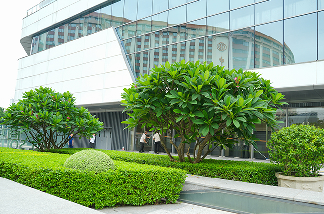 ����Խ����ʾۻ������̻�����