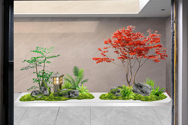 �ù�ֲ������